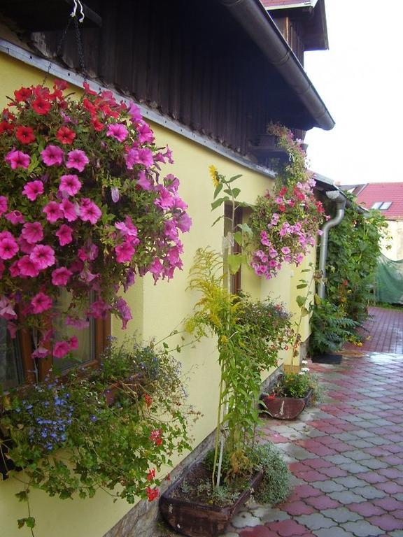 Penzion Many Peny Jindrichuv Hradec Bagian luar foto