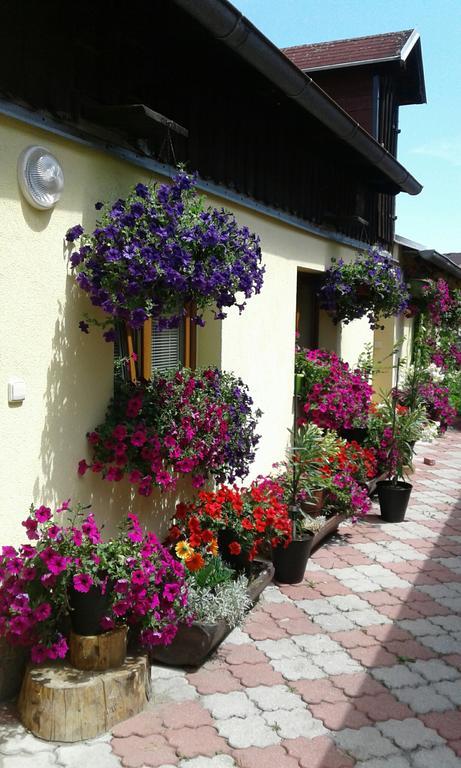 Penzion Many Peny Jindrichuv Hradec Bagian luar foto